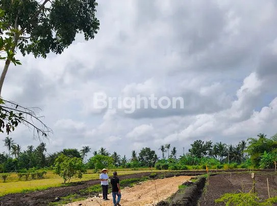 image TANAH KAVLING EXCLUSIVE PRIVATE AKSEN KE PANTAI & VIEW SAWAH DI TABANAN (6)