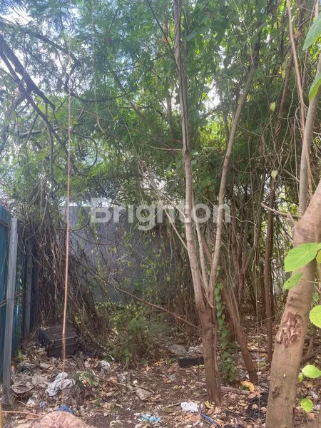 image TANAH LANGKA DEWI SRI COCOK UNTUK GUESSHOUSE VILLA DAN PERKANTORAN (6)