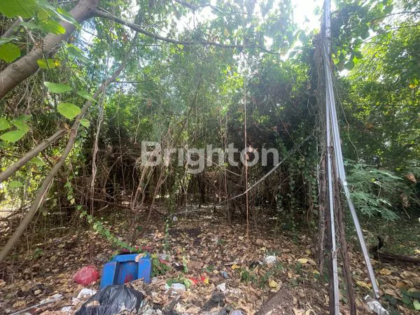 image TANAH  STRATEGIS DEWISRI LL PUSAT BISNIS  BALI (3)