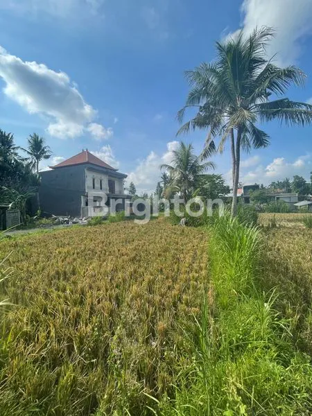 image TANAH 20 ARE DI GIANYAR, AKSES 3 JALAN (2)