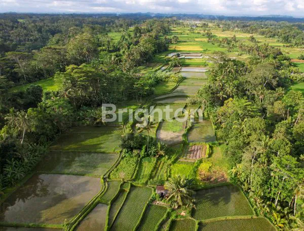TANAH 20 ARE DI GIANYAR, AKSES 3 JALAN