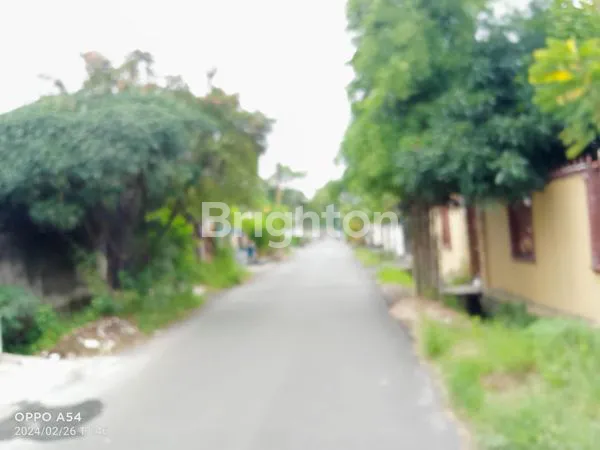 image RUMAH MINIMALIS (8)