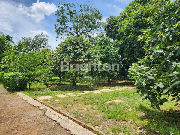 image RUMAH ASRI LUAS 1.723 M2 DI PASAR MINGGU JAKARTA SELATAN (6)