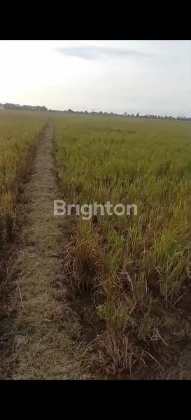 image INVESTASI TANAH 7.600M² CABANGBUNGIN (4)