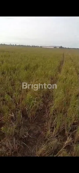 image INVESTASI TANAH 7.600M² CABANGBUNGIN (5)