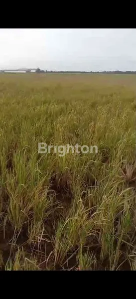 image INVESTASI TANAH 7.600M² CABANGBUNGIN (2)