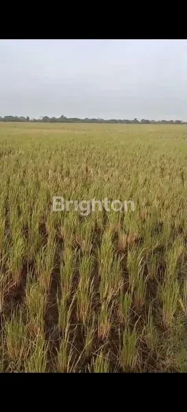 image INVESTASI TANAH 7.600M² CABANGBUNGIN (7)