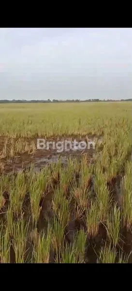 image INVESTASI TANAH 7.600M² CABANGBUNGIN (1)