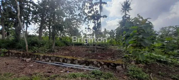 TANAH DIJUAL COCOK UNTUK HUNIAN