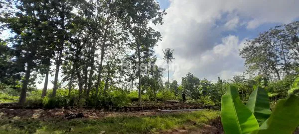 image TANAH DIJUAL COCOK UNTUK HUNIAN (3)