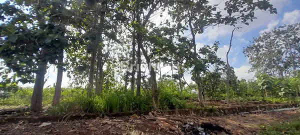 image TANAH DIJUAL COCOK UNTUK HUNIAN (5)