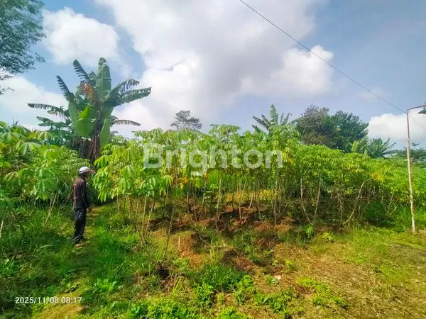 image TANAH LUAS 4.800 M² DI JALAN POLONIA – SELANGKAH KE BUKIT INDAH PERMAI, DEKAT DE CASABLANCA RESIDENCE - KOTA MALANG (4)