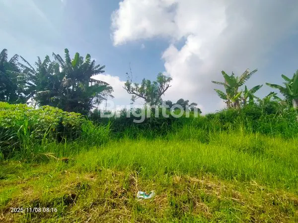 image TANAH LUAS 4.800 M² DI JALAN POLONIA – SELANGKAH KE BUKIT INDAH PERMAI, DEKAT DE CASABLANCA RESIDENCE - KOTA MALANG (2)