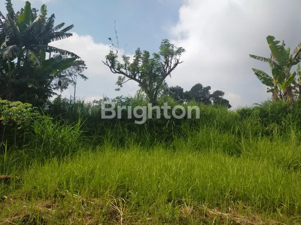 image TANAH LUAS 4.800 M² DI JALAN POLONIA – SELANGKAH KE BUKIT INDAH PERMAI, DEKAT DE CASABLANCA RESIDENCE - KOTA MALANG (1)