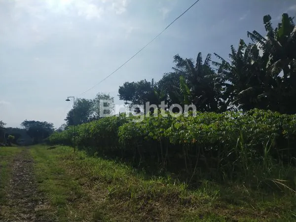 image TANAH LUAS 4.800 M² DI JALAN POLONIA – SELANGKAH KE BUKIT INDAH PERMAI, DEKAT DE CASABLANCA RESIDENCE - KOTA MALANG (7)