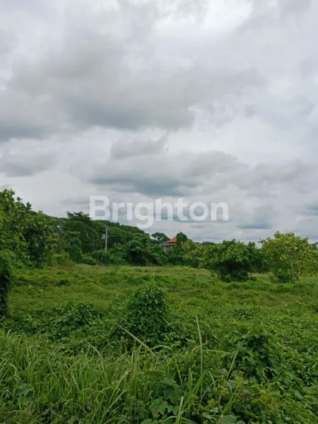 image  TANAH DIJUAL DI AREA GIANYAR – LOKASI STRATEGIS DEKAT PANTAI (5)