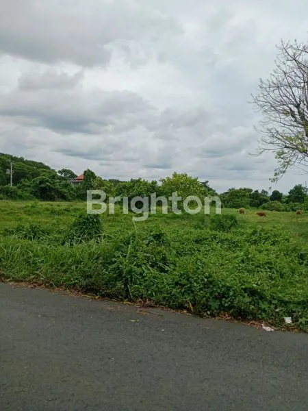image  TANAH DIJUAL DI AREA GIANYAR – LOKASI STRATEGIS DEKAT PANTAI (2)