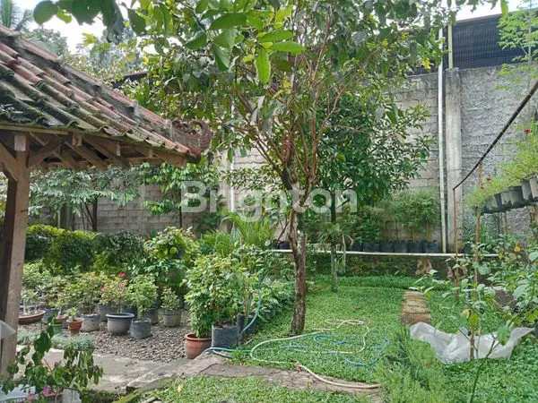 image \UD83C\UDFE1 DIJUAL RUMAH PINGGIR JALAN UTAMA PROVINSI (AKSES STRATEGIS!) (3)