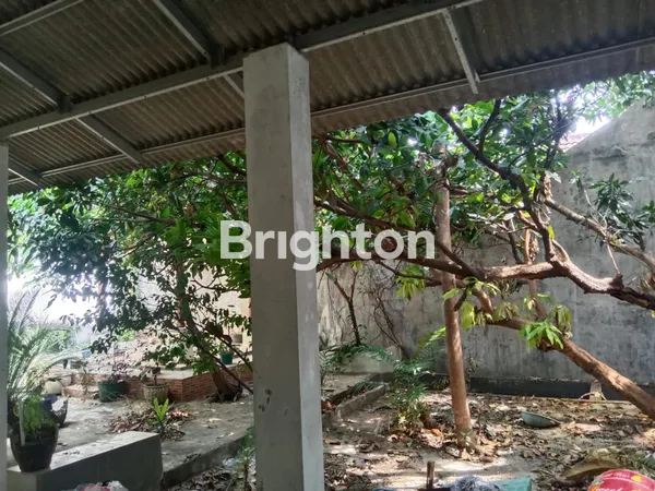 image RUMAH DI PURI EKSEKUTIF COCOK UNTUK KANTOR ATAU STOK GUDANG  (3)