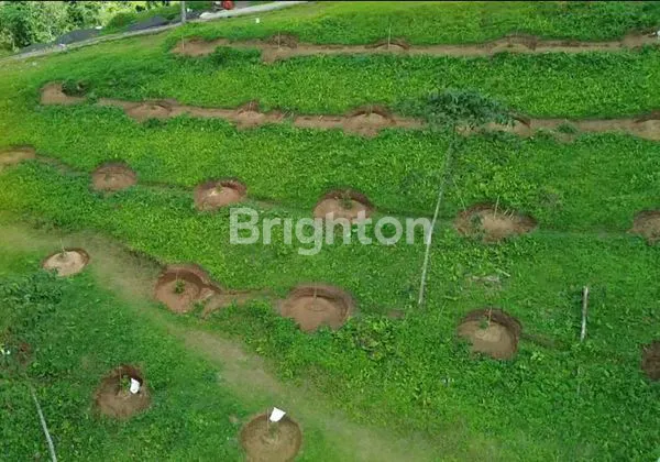 image PREMIUM LAND INVESTMENT – PENEBEL TABANAN  (4)