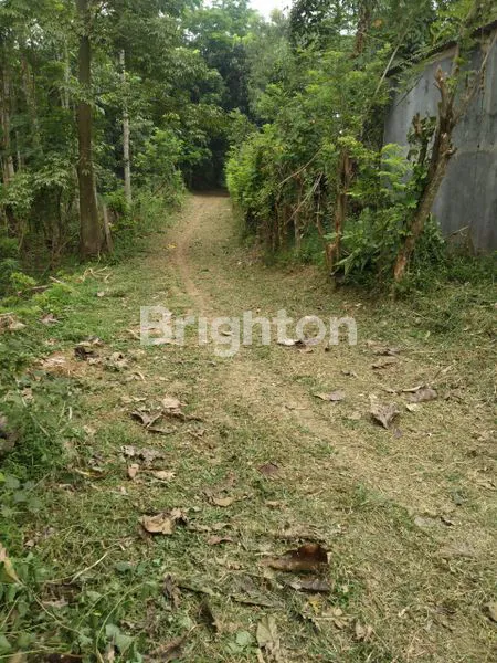 image JUAL RUMAH TANAH CILANGKAP DEPOK (3)