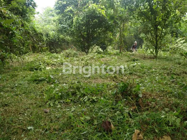 image JUAL RUMAH TANAH CILANGKAP DEPOK (2)