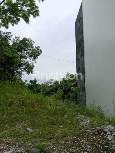 image TANAH DAERAH HIJAU UDAYANA BARAT COCOK BUAT VILA  (2)