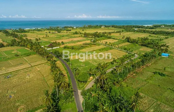 image TANAH SIAP BANGUN EXCLUSIVE TABANAN (4)