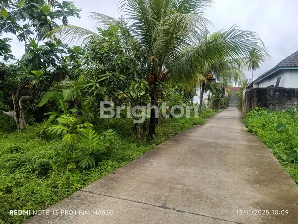 image TANAH SIAP BANGUN DI JL. WAHID HASYIM (1)