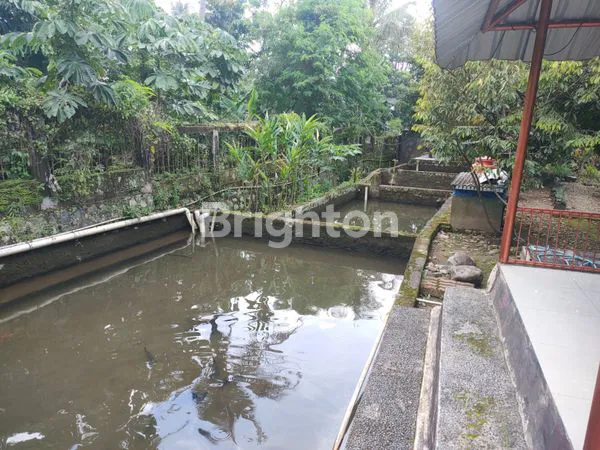 image JARANG ADA! RUMAH SEMI VILLA KOKOH 3KT DI LAHAN VILLA 1.436M² + PARKIR 6 MOBIL PARAKAN CIOMAS BOGOR (7)