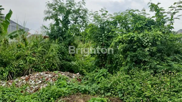 TANAH INDUSTRI 7000M² DI OSOWILANGON