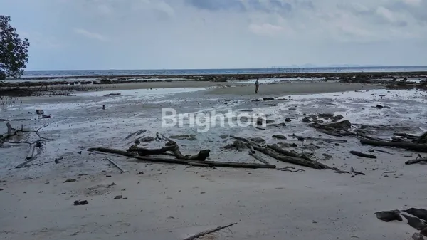 image DIJUAL TANAH DI TEPI PANTAI PULAU ABANG (3)