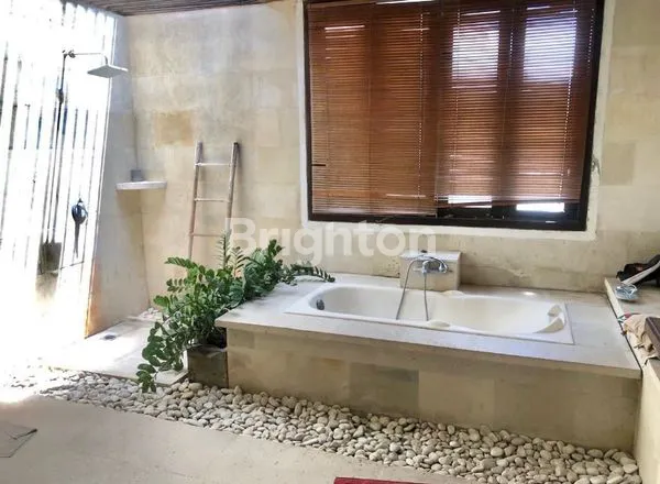 image VILLA MEWAH FULLY FURNISHED DI PADONAN CANGGU (3)