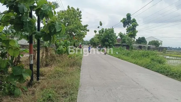 image TANAH 3300 M2 DI PLUPUH SRAGEN AKSES KONTAINER (4)