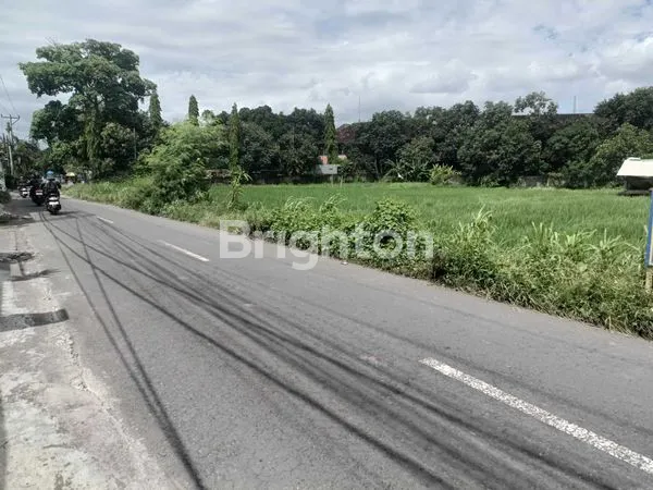 TANAH SPESIAL DALUNG  BADUNG  BALI.