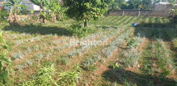 image TANAH KAVLING 945M² SHM, COCOK VILLA/KOST (2)