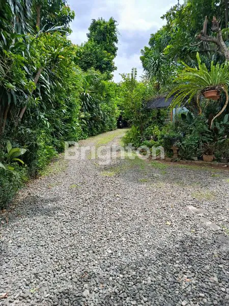 image DIJUAL RUMAH STRATEGIS DI ANDARA, LUAS 1000M², ASRI DAN NYAMAN (2)