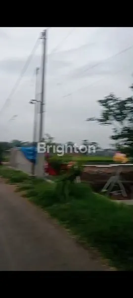 image TANAH MURAH MALANG 2706M² (6)
