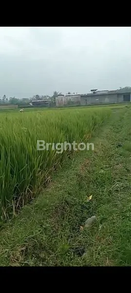 image TANAH MURAH MALANG 2706M² (3)