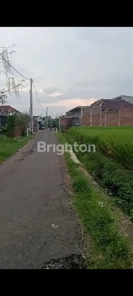 image TANAH MURAH MALANG 2706M² (1)