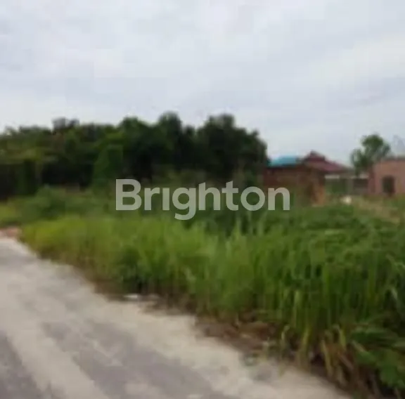 image TANAH KOMERSIAL 1000M2 DI JL. LUMBA LUMBA TAMAN KARYA PANAM (3)