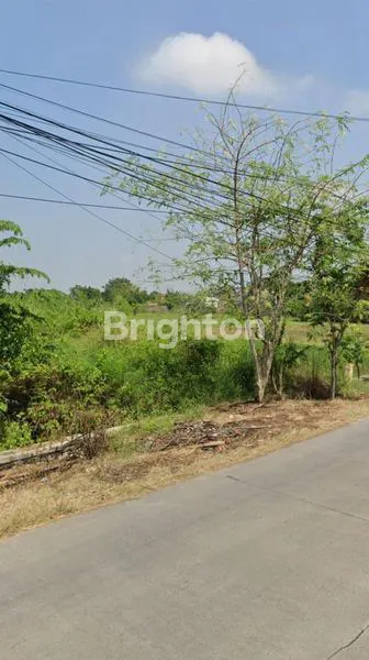 image LAHAN STRATEGIS 1 HEKTAR SHM, HARGA NEGO (1)