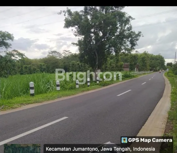 image SAWAH ZONA KUNING 3,2 HA DI KARANGANYAR JUMANTONO, PINGGIR JALAN BESAR ASPAL MULUSS (1)