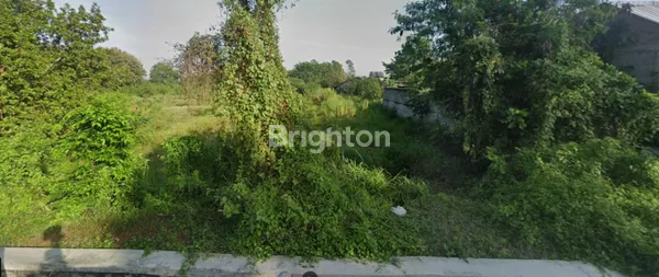 image TANAH STRATEGIS DI SLEMAN – PINGGIR JALAN KABUPATEN, COCOK UNTUK INVESTASI & PENGEMBANGAN (1)