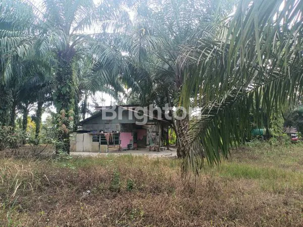 image JUAL TANAH DI GARUDA SAKTI (3)