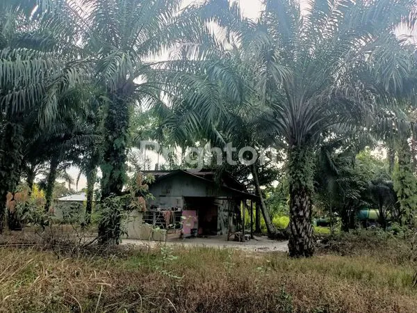 image JUAL TANAH DI GARUDA SAKTI (2)