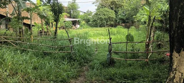 image TANAH LUAS 785M² DI JALAN LINGKAR BARU KUDUS (1)