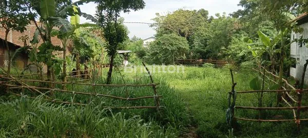 image TANAH LUAS 785M² DI JALAN LINGKAR BARU KUDUS (2)