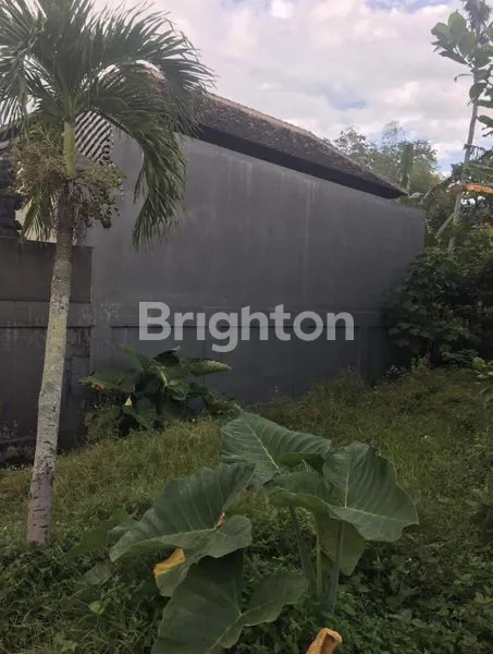 DI BELAKANG SUPERMARKET VISTA PESIAPAN