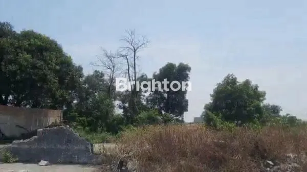 image TANAH STRATEGIS PINGGIR JALAN RAYA UTAMA SEMARANG JAUH DI BAWAH NJOP (5)